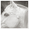Yalpine: White Horse - EP